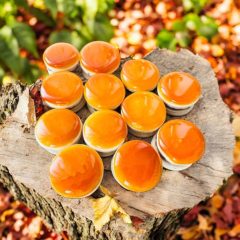 Dobosrom azaz dobostorta macaron