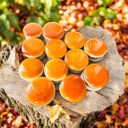 Dobosrom azaz dobostorta macaron